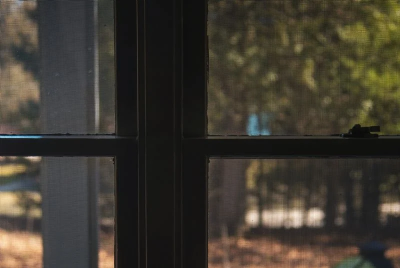 Arrived: No Man's Land, Georgia